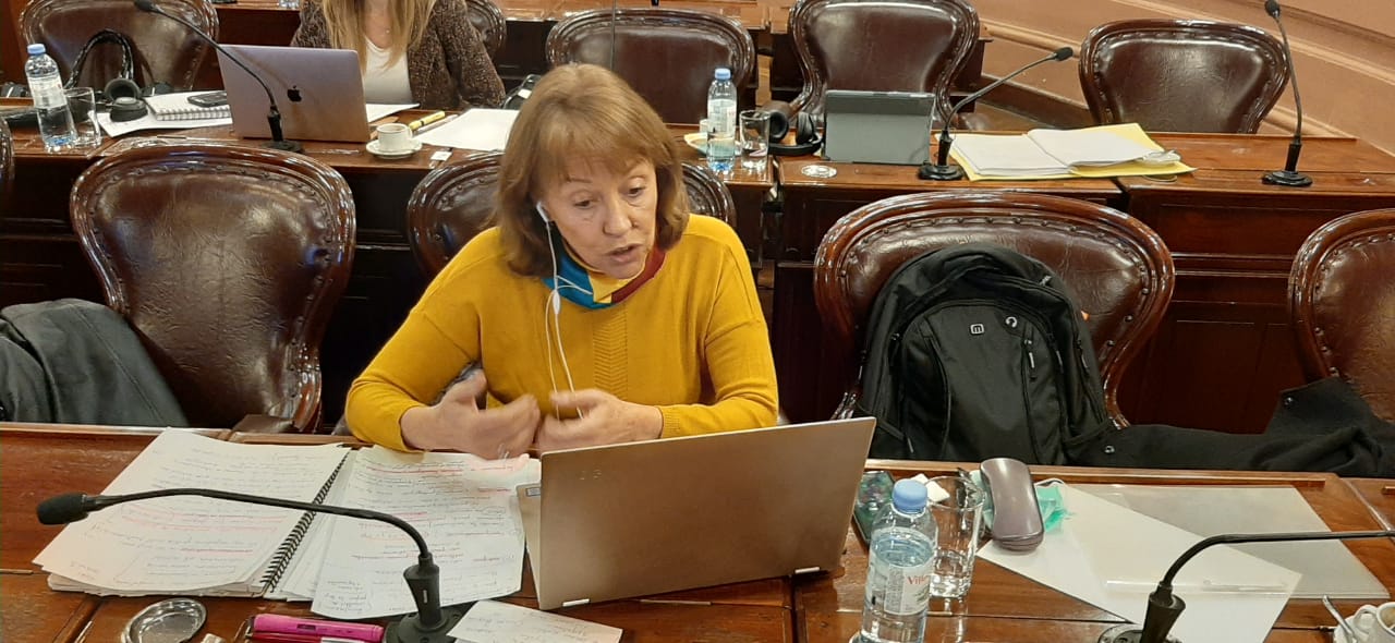 Diputados impulsan el regreso de los planes Conectar Igualdad y Argentina Conectada