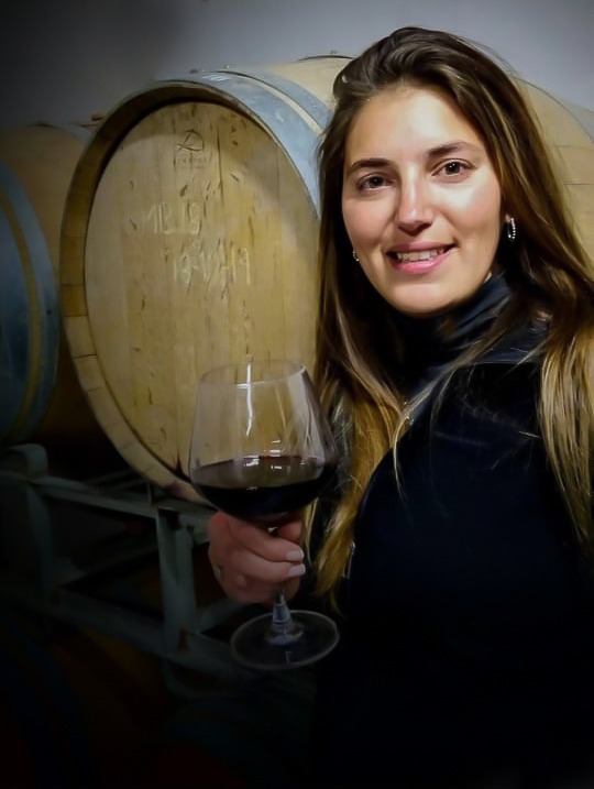 Datos interesantes sobre el Cabernet Sauvignon en su día