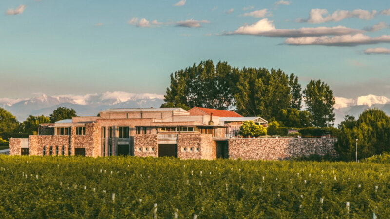 De Valle de Uco a San Rafael: Bodegas Bianchi festeja la versatilidad del Malbec