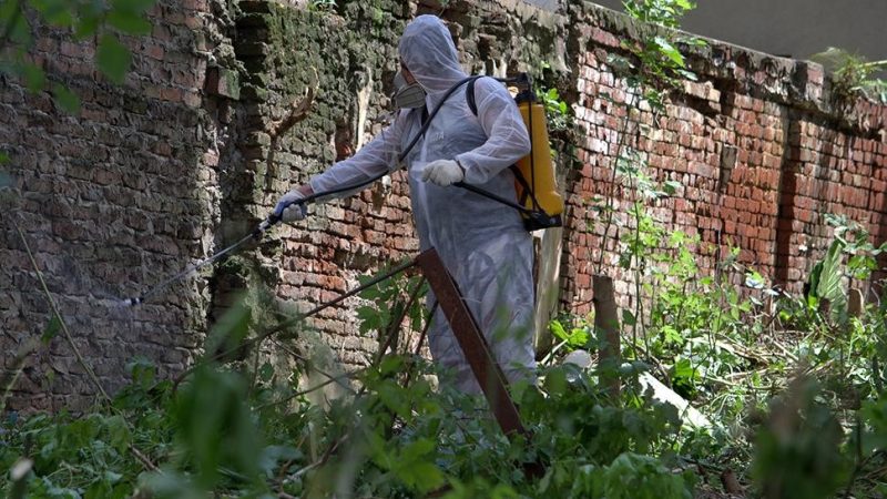 La Ciudad de Buenos Aires redobla esfuerzos para combatir el dengue con acciones en terrenos abandonados