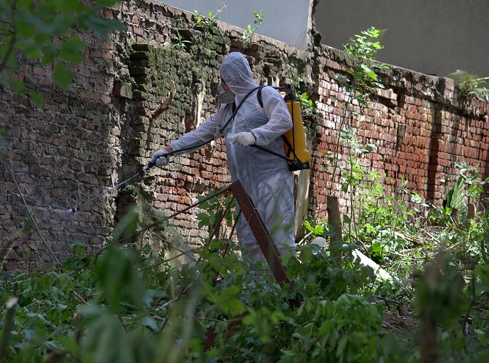 La Ciudad de Buenos Aires redobla esfuerzos para combatir el dengue con acciones en terrenos abandonados